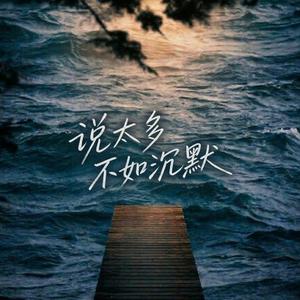 说太多不如沉默