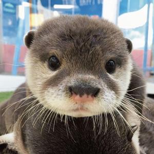 sorry, i can't do this right