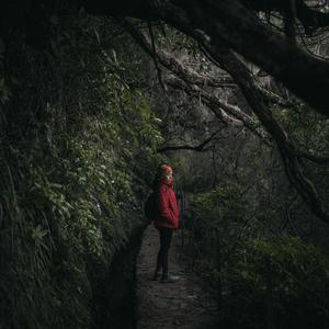 Sad Song