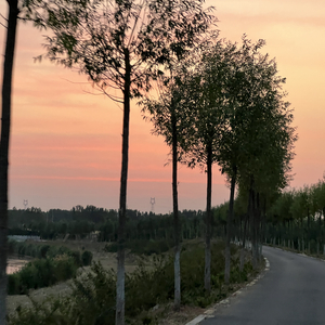 DjA1-Fairytale Gone Bad（热河 remix）