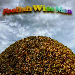 Foolish Wise Man ~愚かな賢者様~
