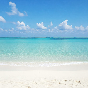 青い海の波の音