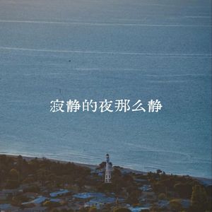 寂静的夜那么静