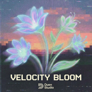 Velocity Bloom
