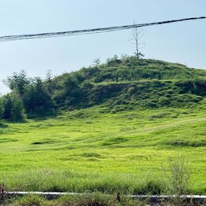 你是我错过的烟火