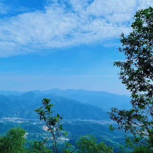乡间漫步的男孩