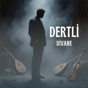 Dertli Divane (feat. Hayri Ensar Abbas)