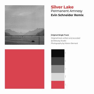 Permanent Amnesy (Remix)