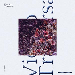 Viento Traversa