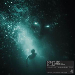 Something In The Water