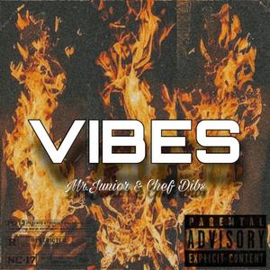 Vibes (feat. Chef Dib$)