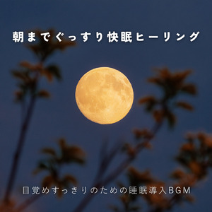 睡眠用BGM 穏やかな夜のアンビエント