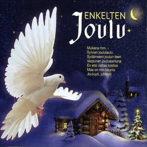 Sydämeeni joulun teen