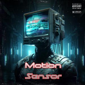 Motion Sensor