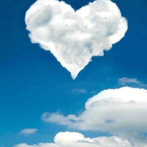 白月光与朱砂痣_肥猫（翻自 郑豪）