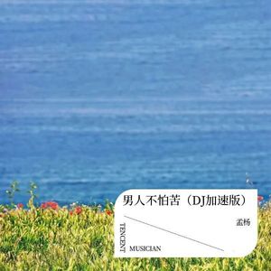 男人不怕苦 (DJ加速版)