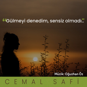 Sensiz Olmadı