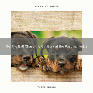 Sleepy Best Dogs and Loving Owners