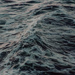 鱼（翻自 陈绮贞）