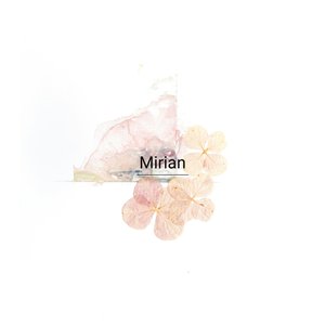 嘘みたいな現実