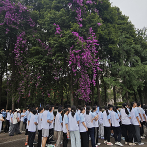 离别太久不适合重逢