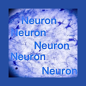 Neuron