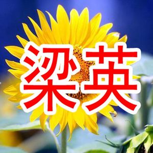 飞过一片海-整曲