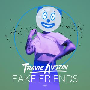 Fake Friends. (Radio Edit)