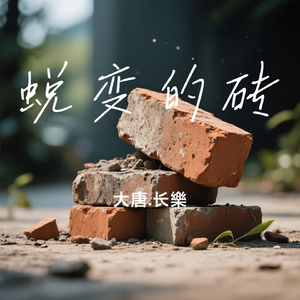 蜕变的砖