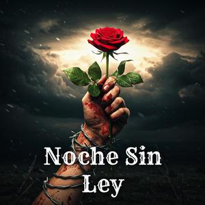 sin ley flo