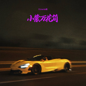 小紫万花筒 (Djremix版)
