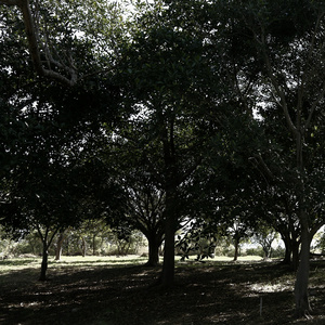 I Want You to Sleep Better