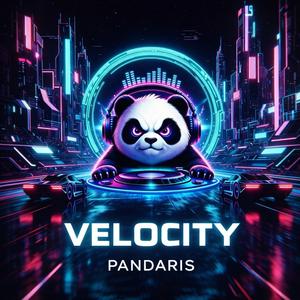 Velocity