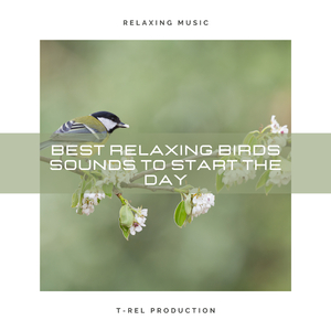 The City is Awakened