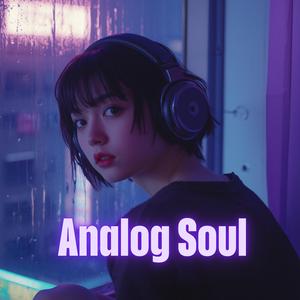 Analog Soul