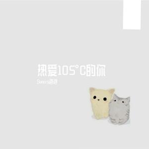 热爱105°C的你