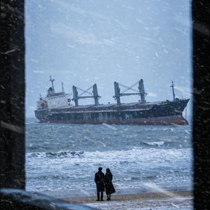 他朝若是同淋雪