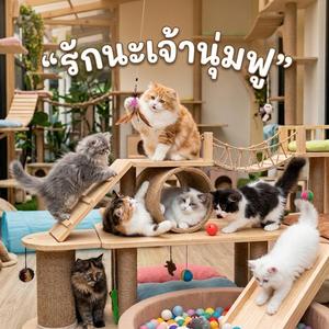 รักนะเจ้านุ่มฟู