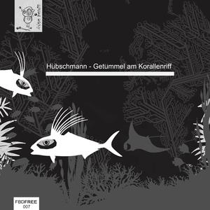 Getümmel am Korallenriff