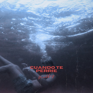 Cuando Te Perrie