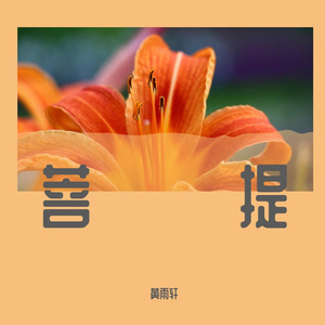菩提