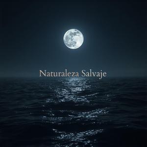 Naturaleza Salvaje