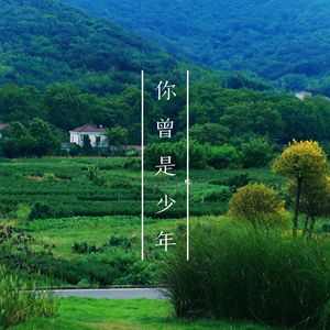 你曾是少年