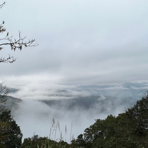 看誰都像妳，但誰都不是妳