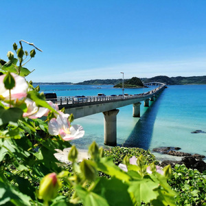 ハナミズキ (feat. 一青窈) [Cover]