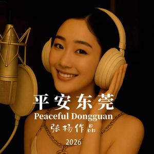 平安东莞 Peaceful Dongguan