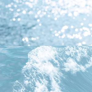 飘摇（翻自 群星）