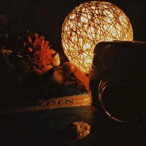 我的风景是爱情原型