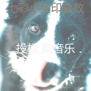 温和可爱的狗梦想