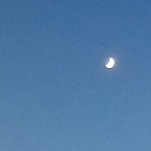 今晚的月色真美.